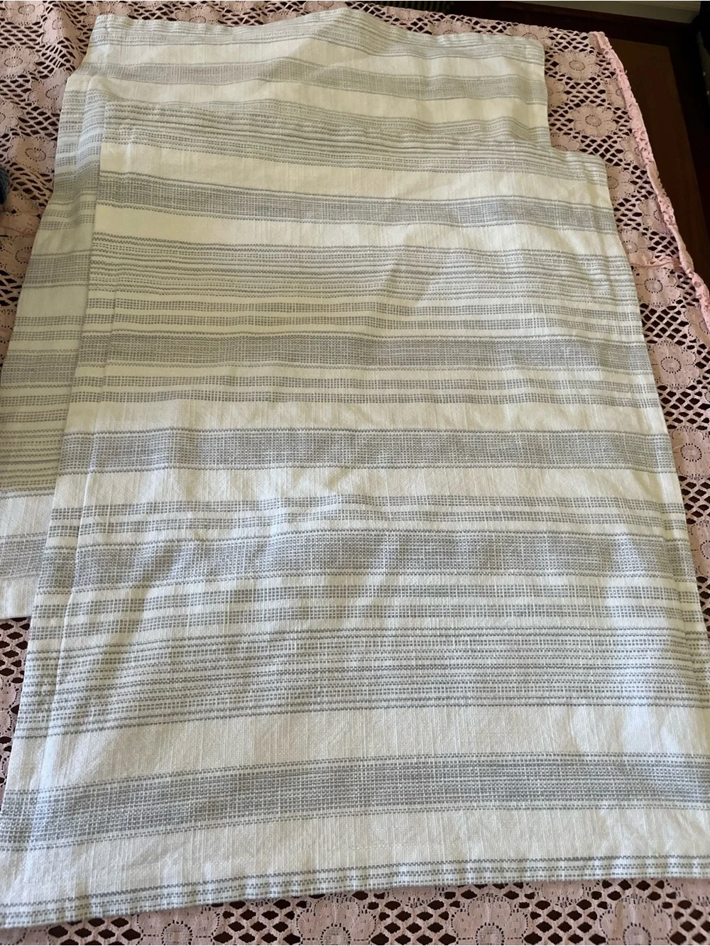 Pottery Barn pillow sham pair